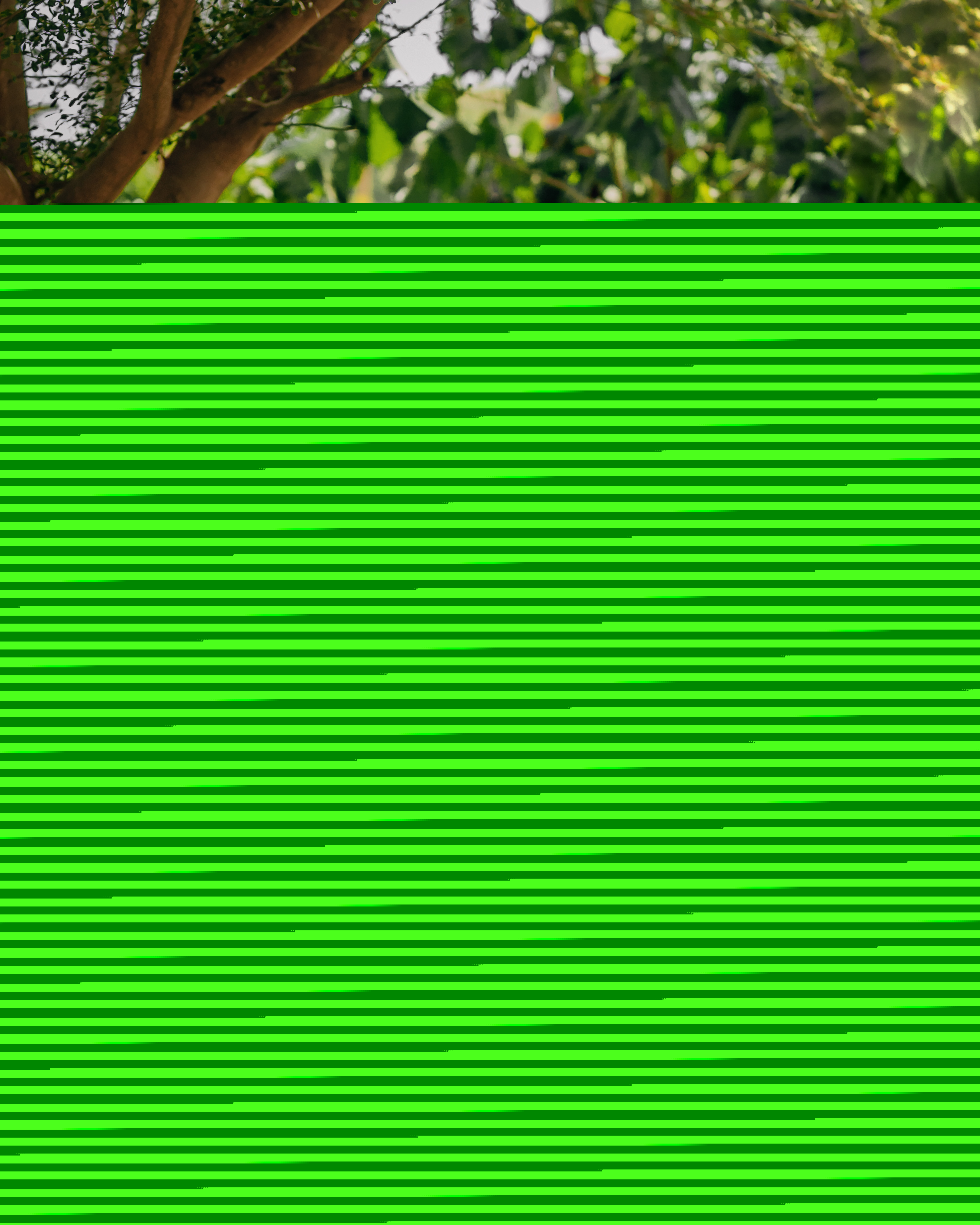 Florence and Jeremiah